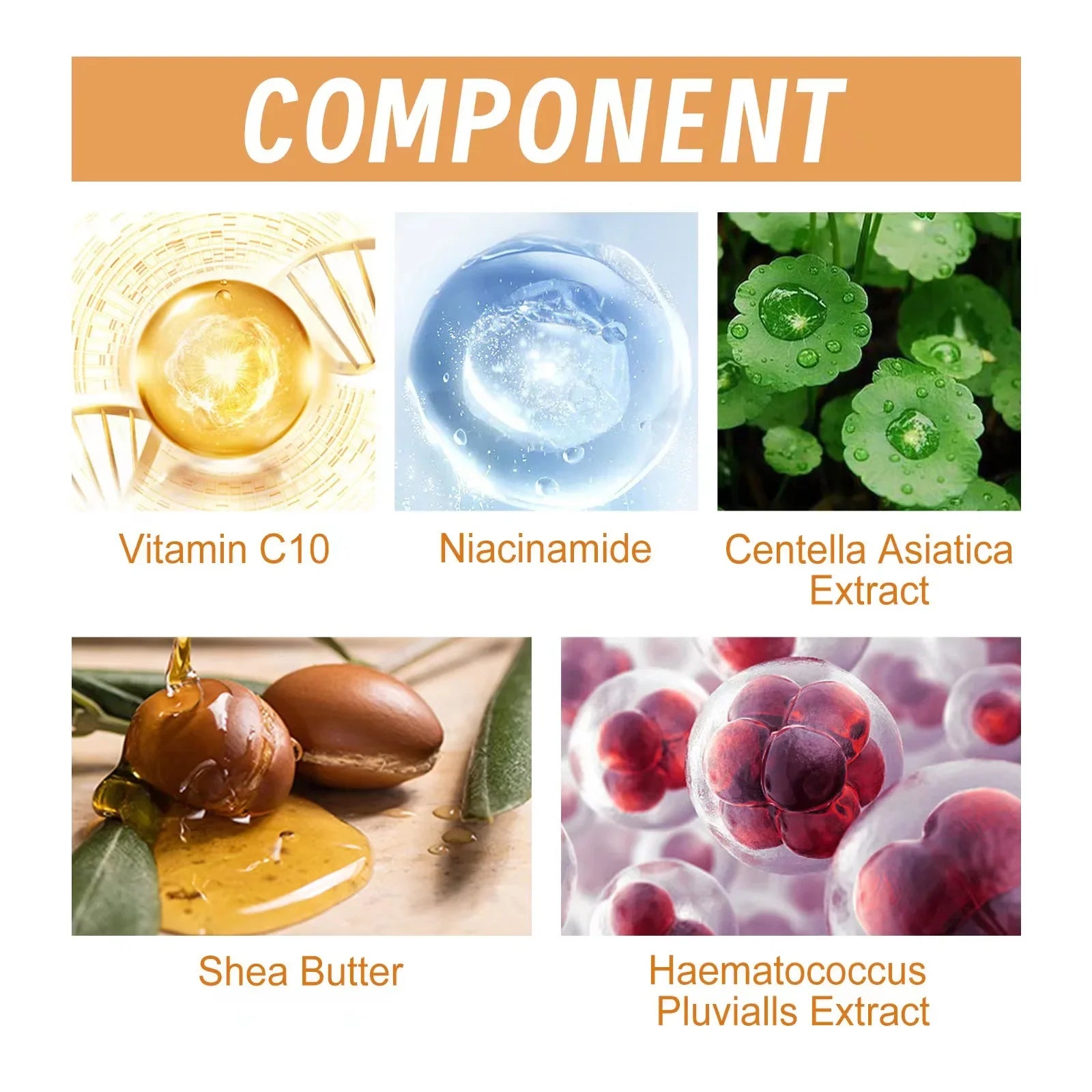 Vitamin C Anti-Aging Serum – Wrinkle Remover & Skin Brightening Essence