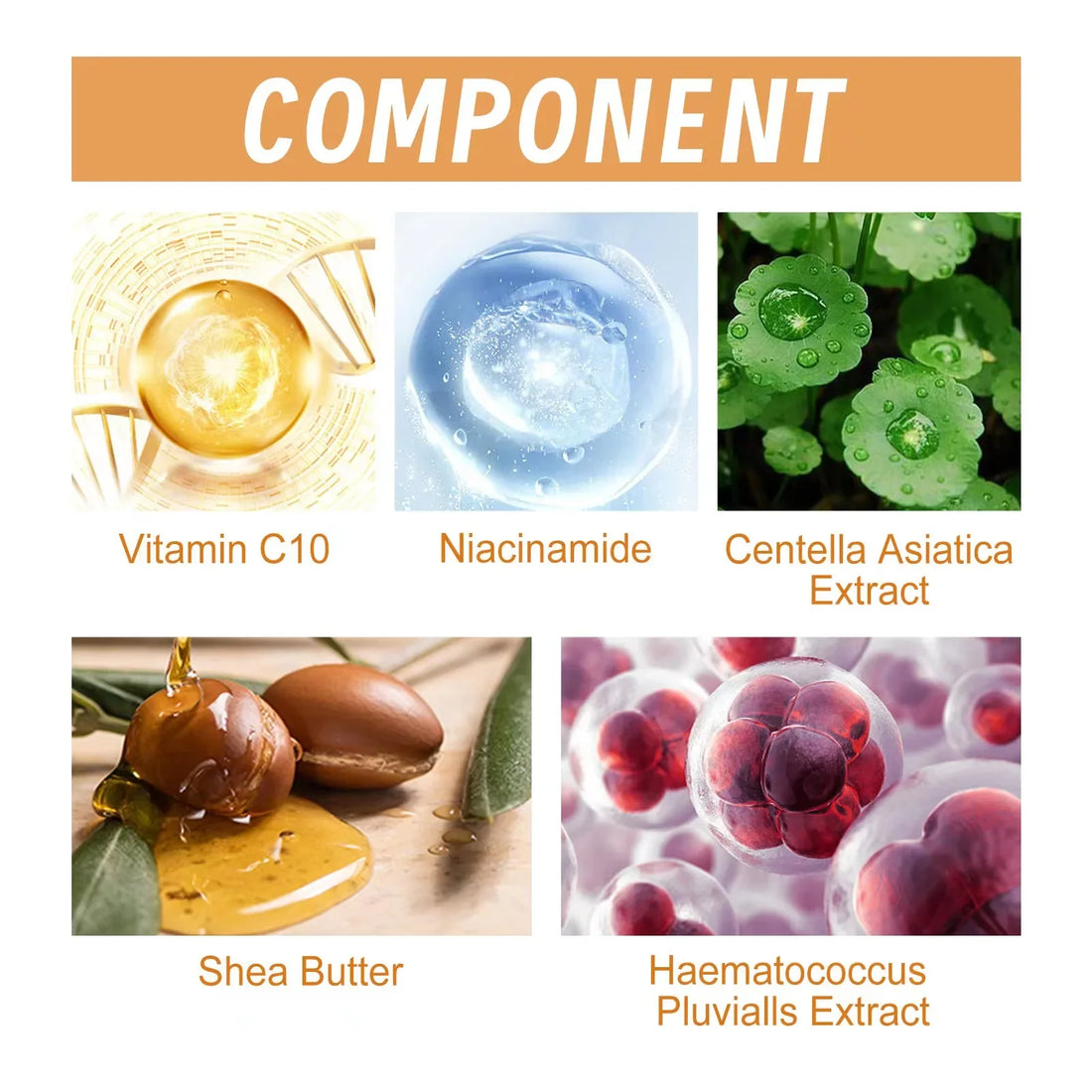 Vitamin C Anti-Aging Serum – Wrinkle Remover & Skin Brightening Essence