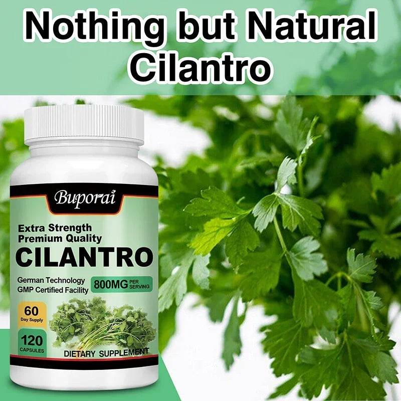 Cilantro Detox Supplement – Antioxidant-Rich Cleanser