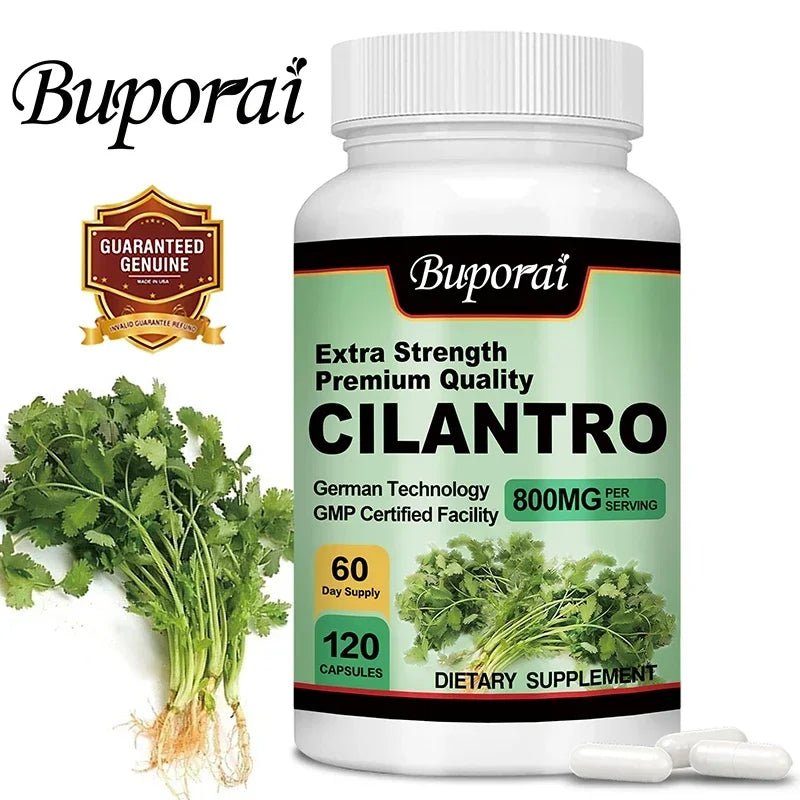 Cilantro Detox Supplement – Antioxidant-Rich Cleanser
